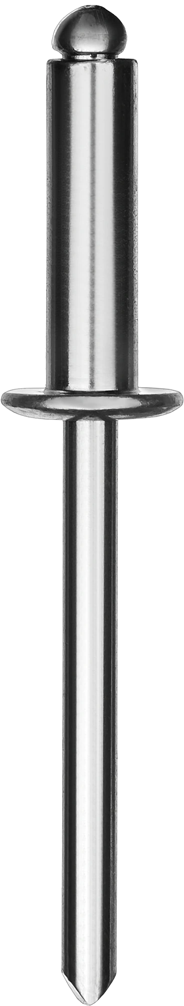 Заклепки стальные KRAFTOOL 4.8 x 30 мм, 250 шт (311703-48-30)