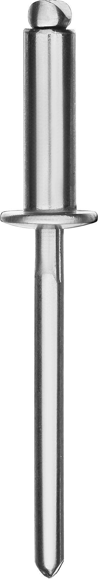 Заклепки нержавеющие KRAFTOOL 4.8 x 10 мм, 500 шт (311705-48-10)